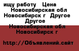 ищу работу › Цена ­ 40 000 - Новосибирская обл., Новосибирск г. Другое » Другое   . Новосибирская обл.,Новосибирск г.